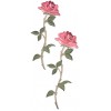 PATCH THIN ROSE
