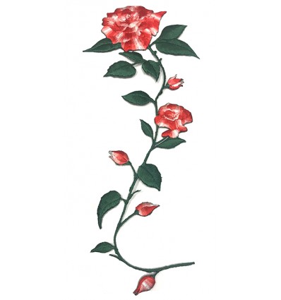 PATCH LONG ROSE